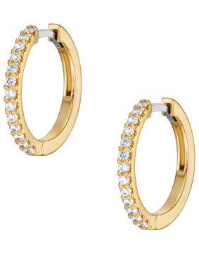 Fossil Jewelry JA7215710 örhängen