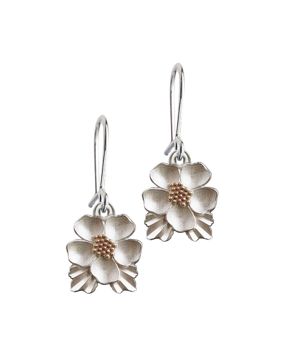 Kaamos Hillankukka krokörhängen 036