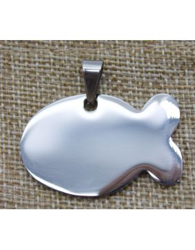 Husdjur namnbricka fisk silver