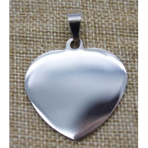 Husdjur namnbricka hjärta silver main product photo