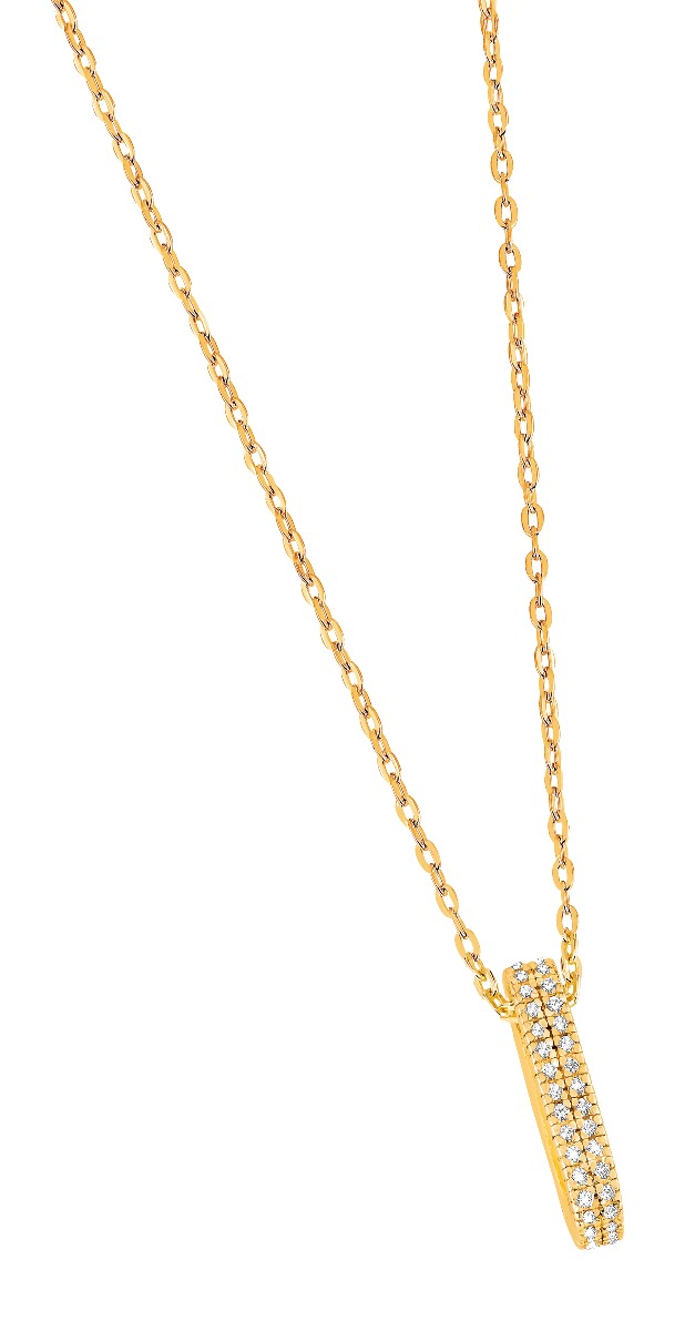 Förgyllt carabiner oval halsband