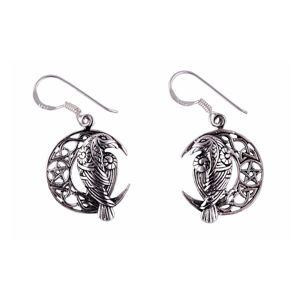 Northern Viking Jewelry Måne Korp Och Stjärna örhängen NVJKK041 main product photo