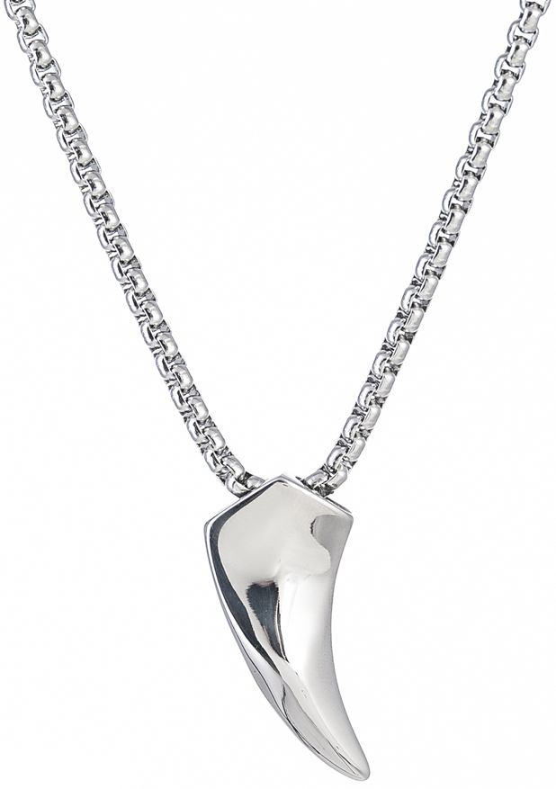 Northern Viking Jewelry NVJRS024 halsband Fenrir Wolf 