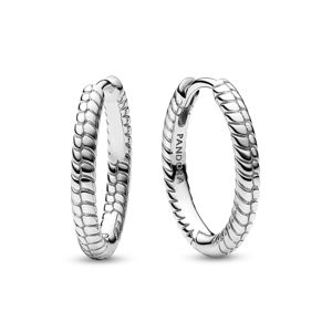 Pandora Moments Small Charm Sterling silver hoops 292728C00 main product photo