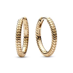 Pandora Moments Small Charm 14k gold-plated hoops 262728C00 main product photo