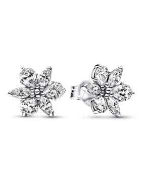 Pandora Timeless Sparkling Herbarium Cluster örhängen 292633C01