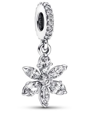 Pandora Timeless Sparkling Herbarium Cluster berlock 792382C01