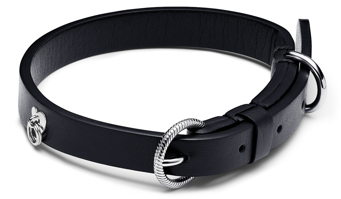Dog collar sales chain and leather