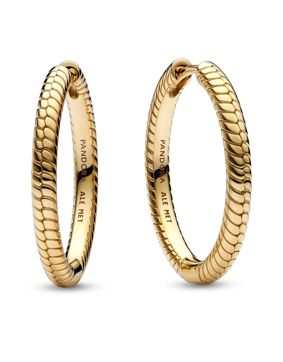 Pandora Moments Charm örhängen 269532C00