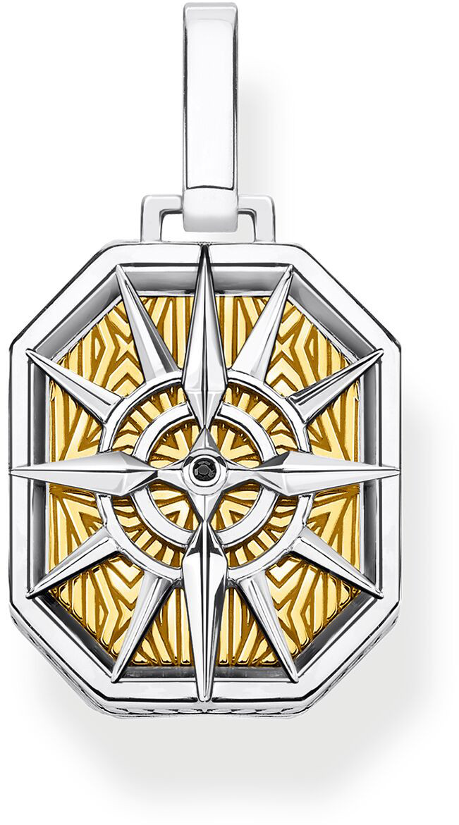 Thomas Sabo Compass guld hängsmycken PE867-849-7