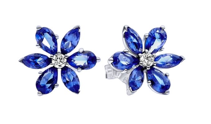 Pandora Timeless Sparkling Herbarium Cluster Sterling silver örhängen 292407C01