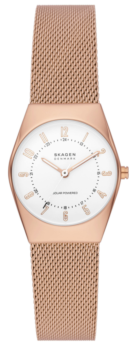 Skagen skw2475 store