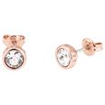 Ted Baker Sinaa Crystal stiftörhängen TBJ1084-24-02