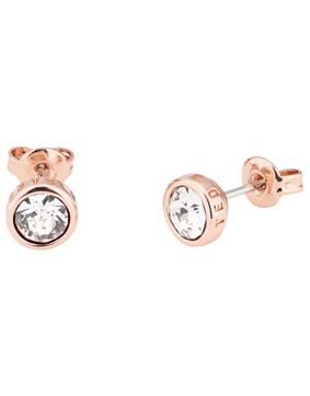 Ted Baker Sinaa Crystal stiftörhängen TBJ1084-24-02
