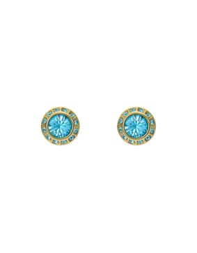 Ted Baker Soletia stiftörhängen TBJ3698-02-30
