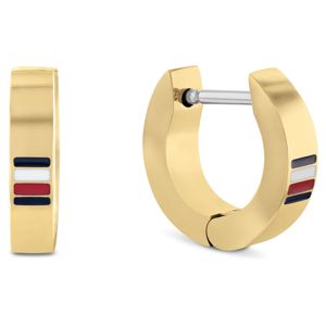 Tommy Hilfiger örhange 2790586 main product photo