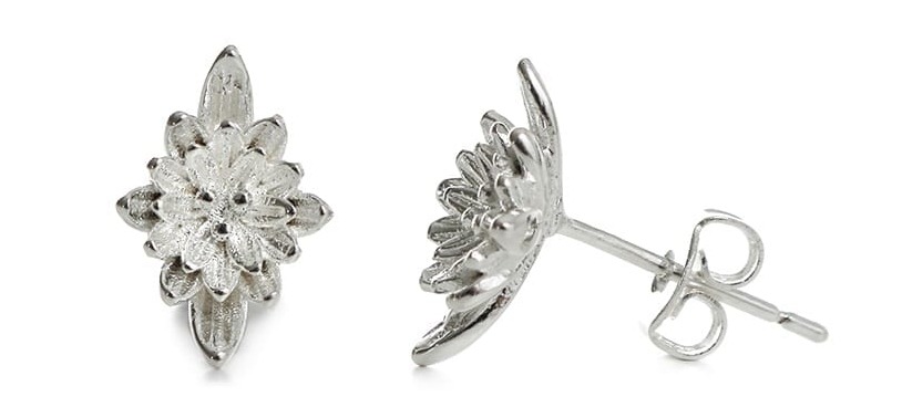 Hopeapuro Hjortron örhängen K425