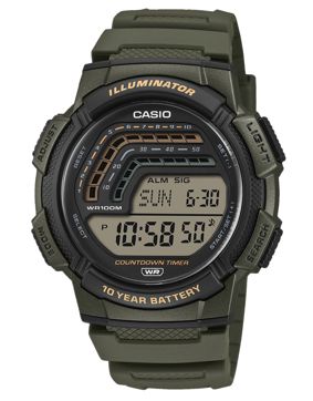 Casio Timeless Collection WS-1800-3AVEF