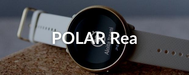 Polar rea