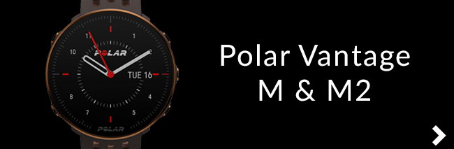 Polar Vantage M