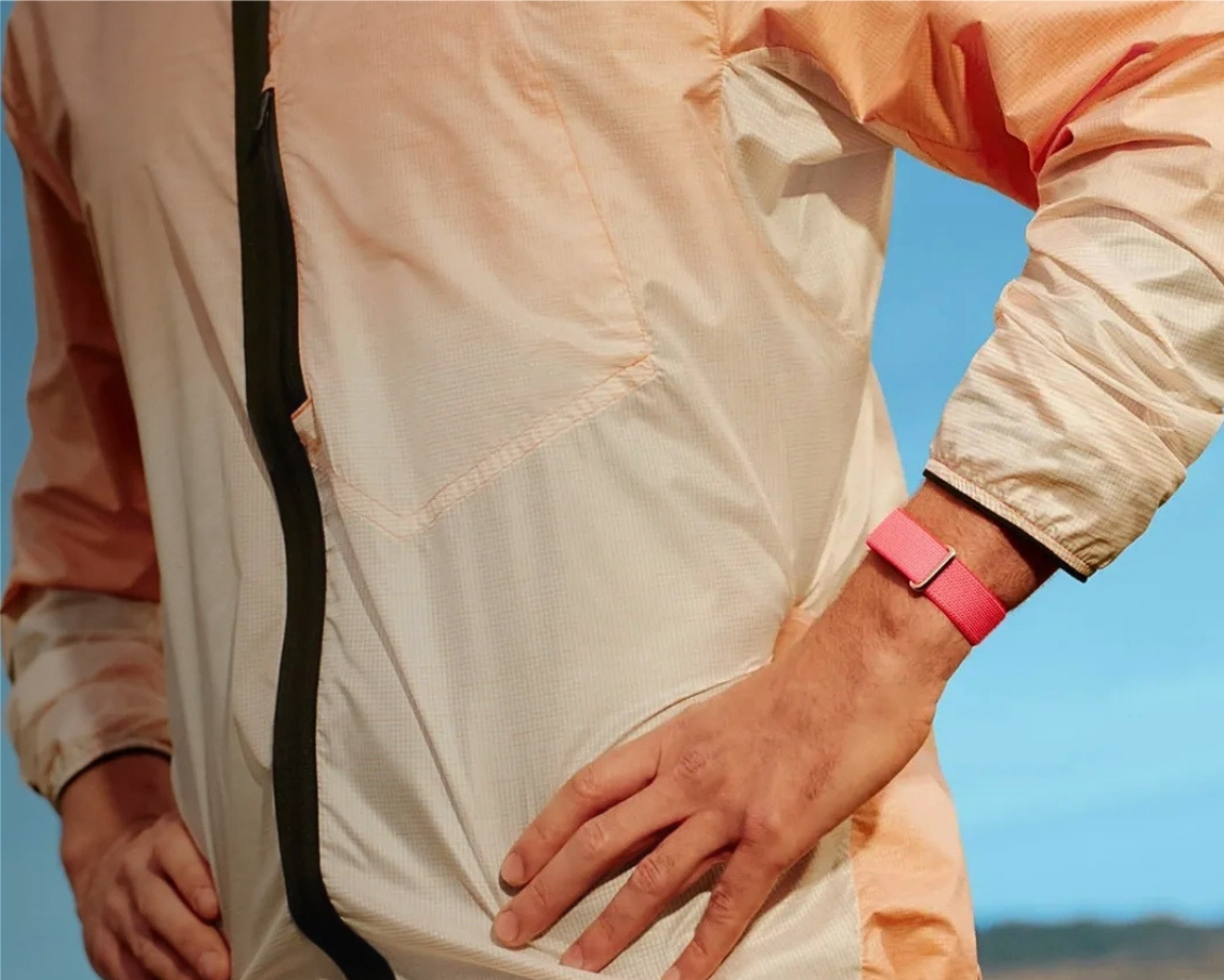 Google Fitbit Air